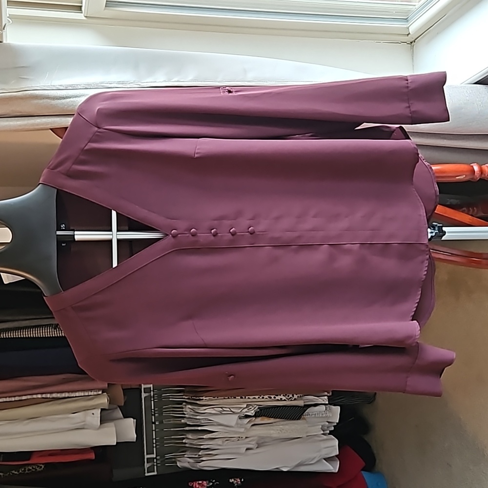 Express Sheer Blouse